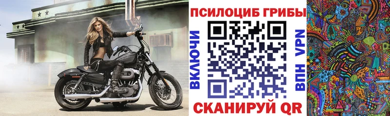 Галлюциногенные грибы Cubensis  где можно купить наркотик  Обнинск 
